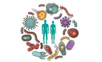 Introduction to your Microbiome